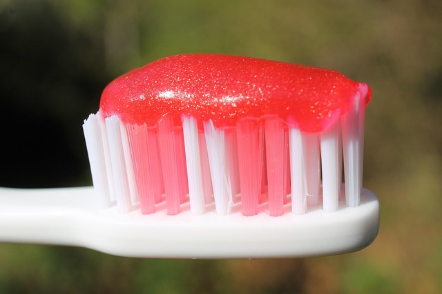 Free Toothbrush Dental photo and picture
