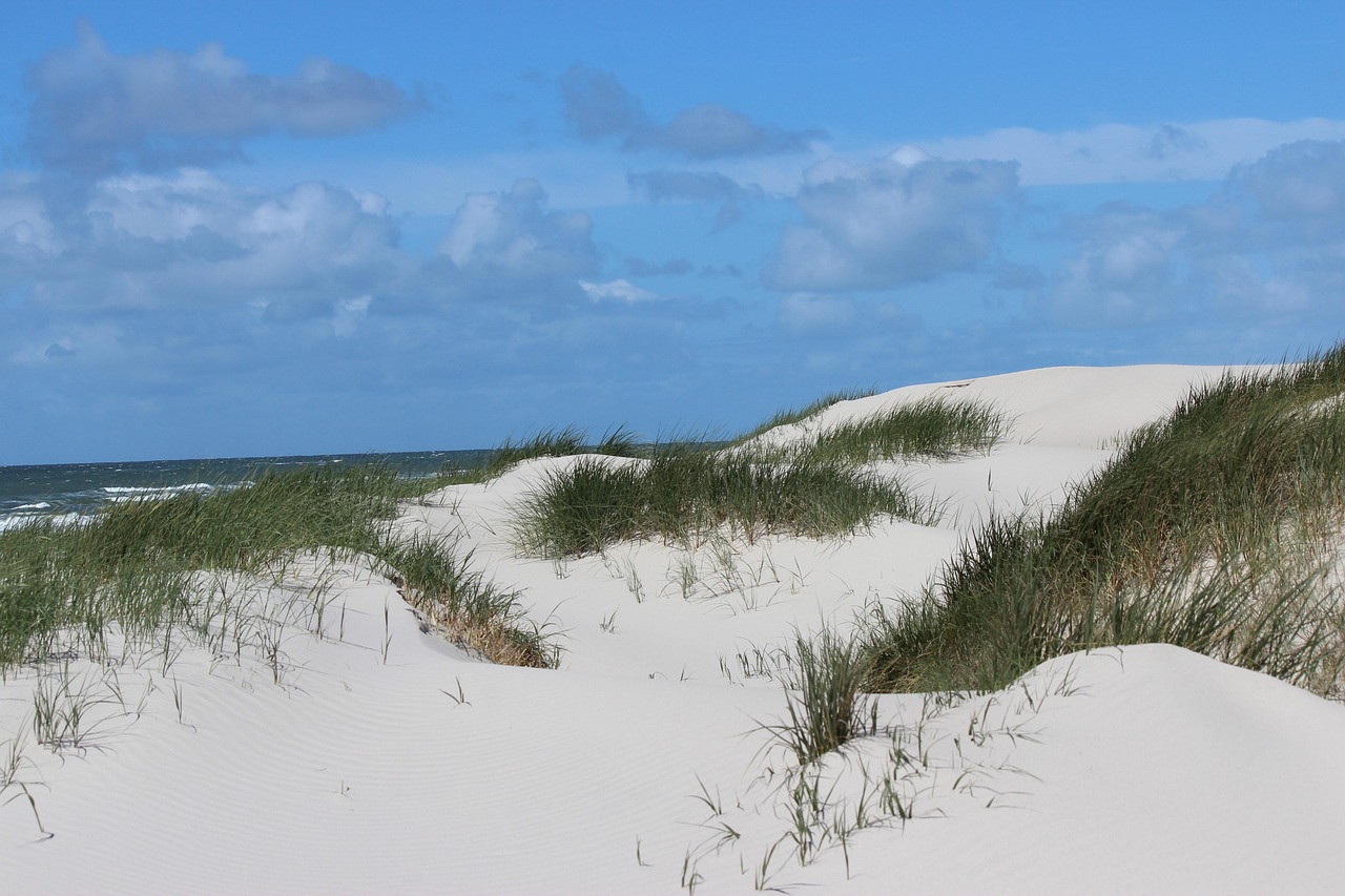 L'Été Dunes De Sable Plage - Photo gratuite sur Pixabay - Pixabay