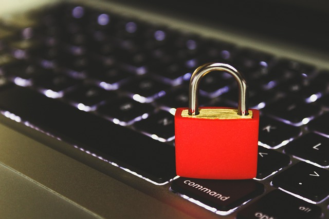 Free Cyber 4K Wallpaper photo and picture