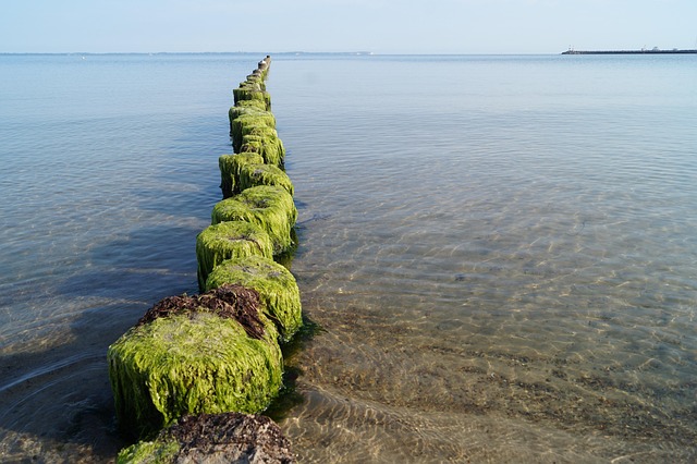 Meer, Urlaub, Wellenbrecher, Ferien