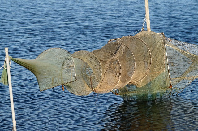 Fischernetz, Netz, Fischerei, Fischen