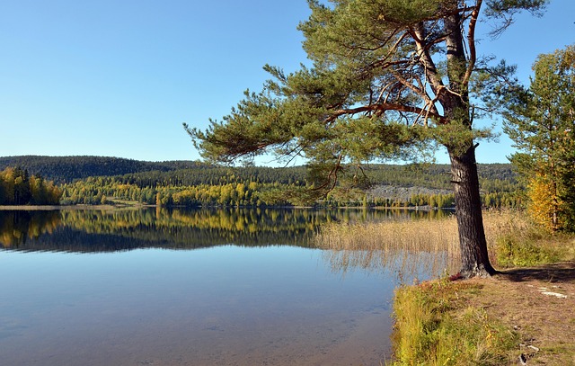 Free Lake Water photo and picture