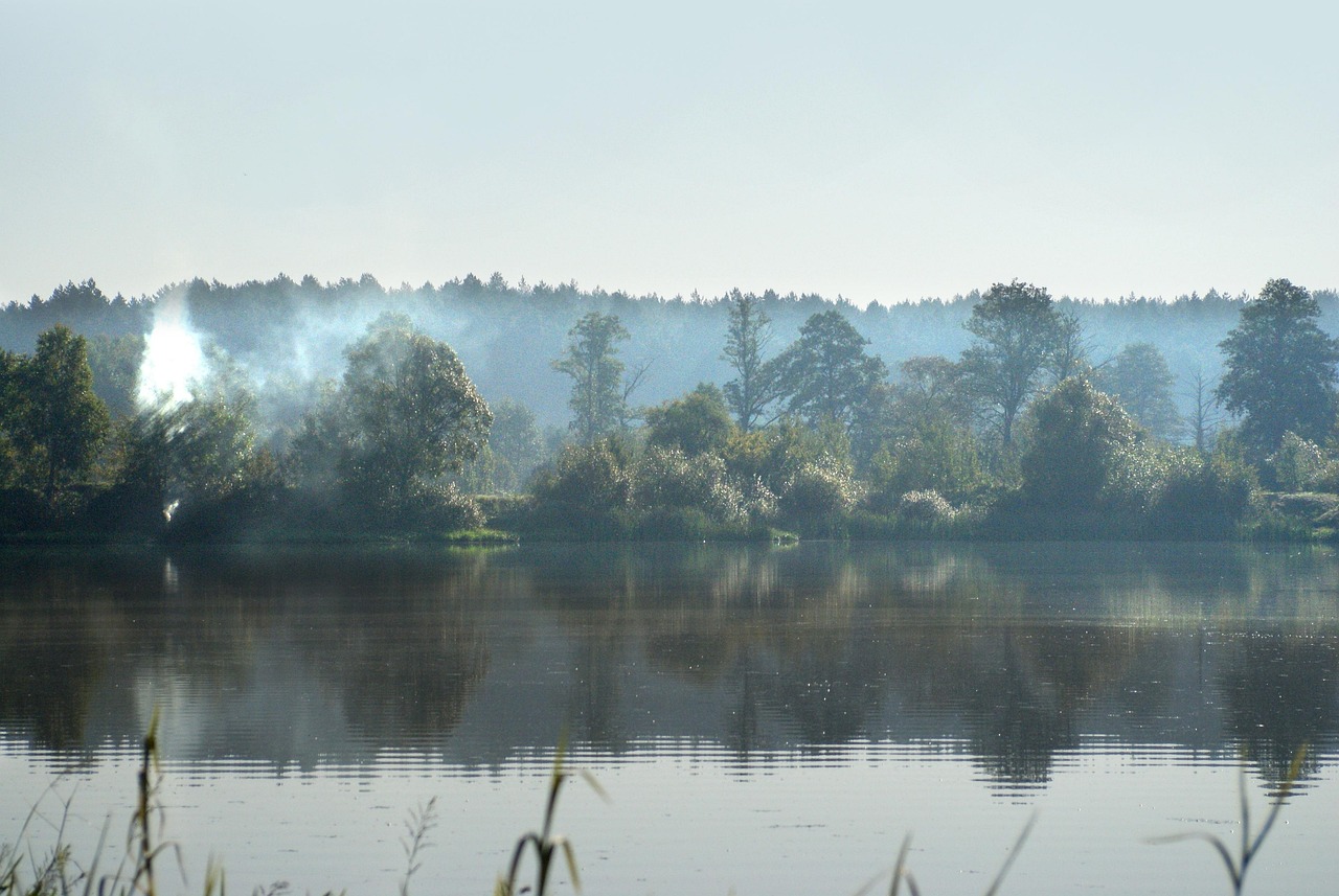 Free Author Skibka photo and picture