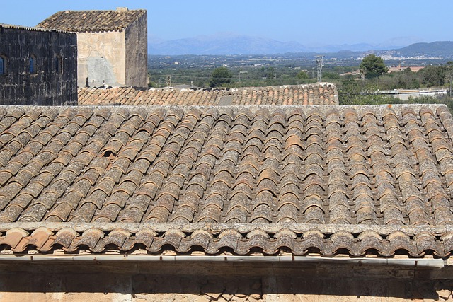 Free Tile Roof photo and picture