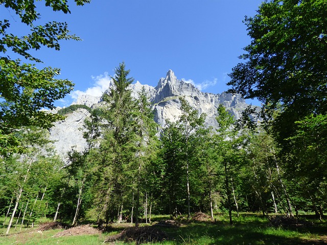 Sitemapcdatahttpsmodeinf Inetcomtatouage Foret Montagne