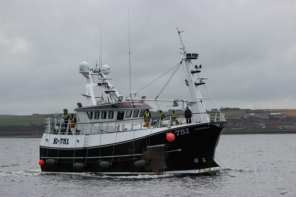 Deep Sea Adventures: The Thrill of Bluewater Fishing