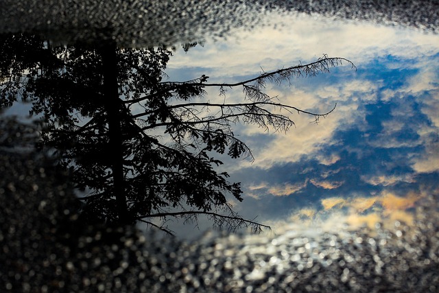 Free Non Puddle photo and picture