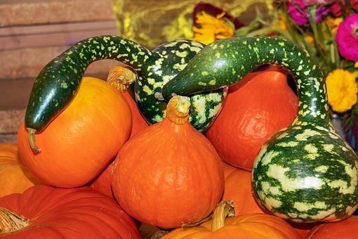 Free Thanksgiving Fixed photo and picture