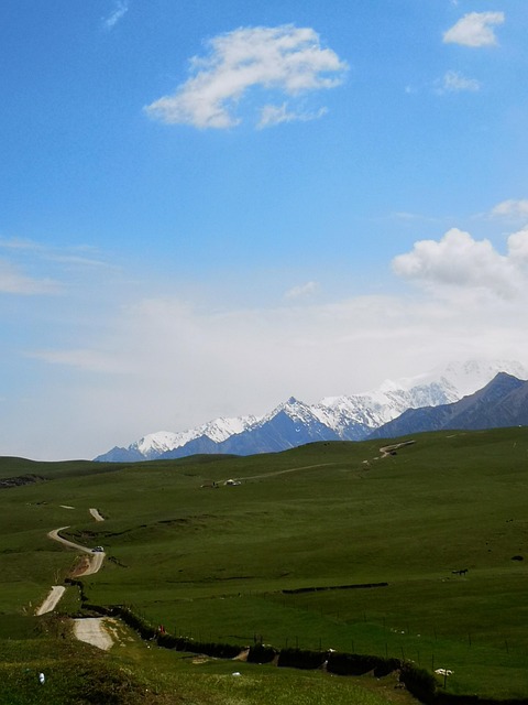 Free Snow Mountain Grassland photo and picture