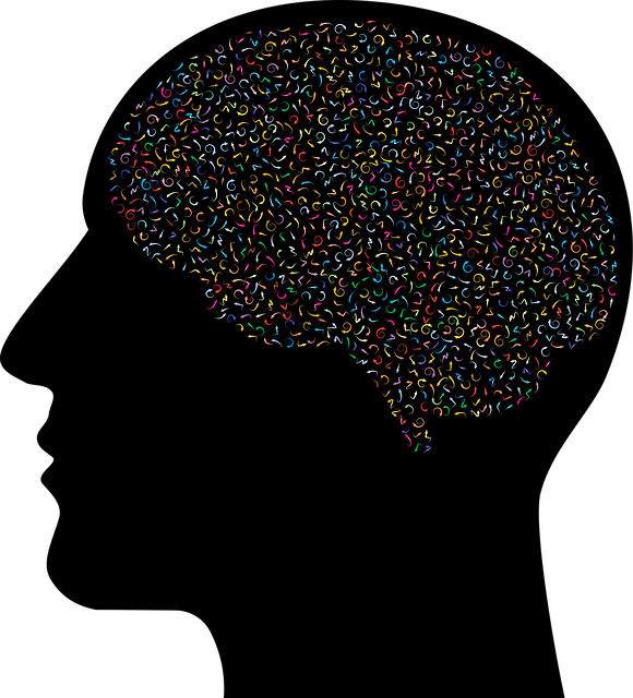Free brain psychology mind vector