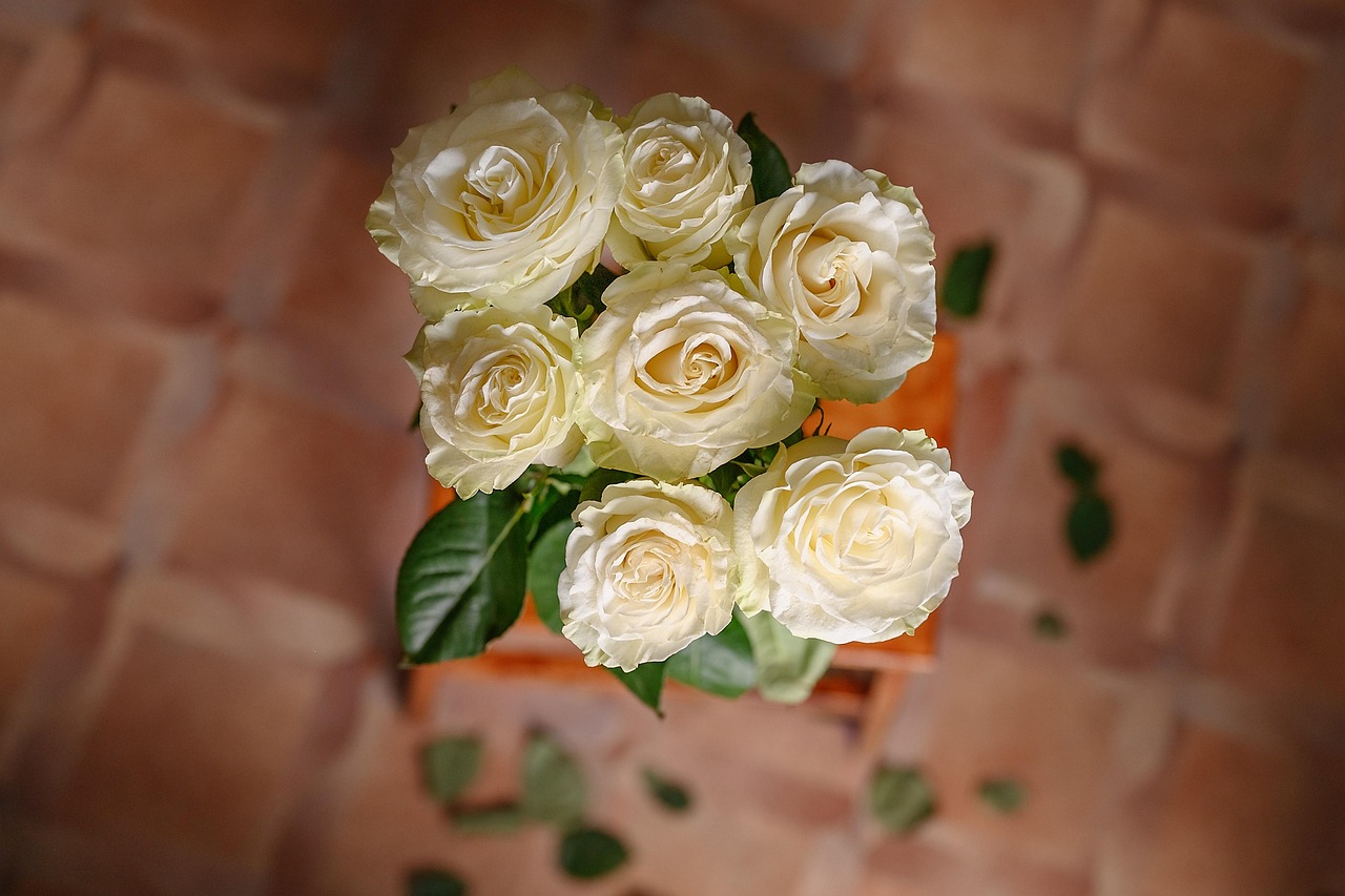 White Rosen Blumen - Kostenloses Foto auf Pixabay - Pixabay