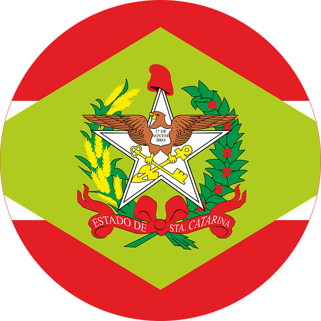 Flagg Fra Delstatene Brasil