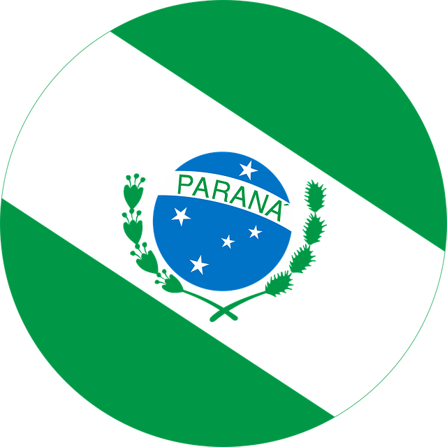 Flagg Fra Delstatene Brasil