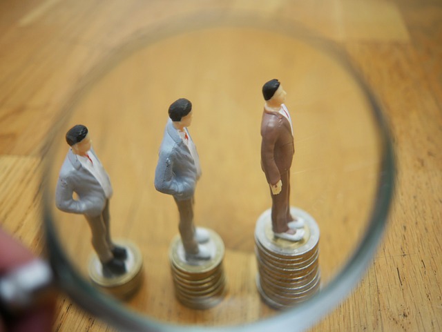 Sursa De Venit, Salariu, Bani, Finanţa