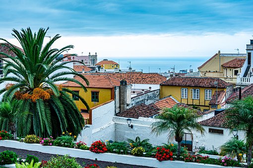 Tenerife, Mennesker, Orotava, Palmer