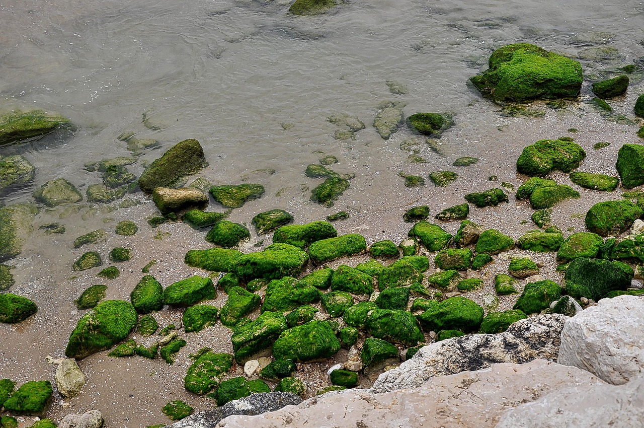 Mediterranean coastline near Israel, close to the historic site of Caesarea