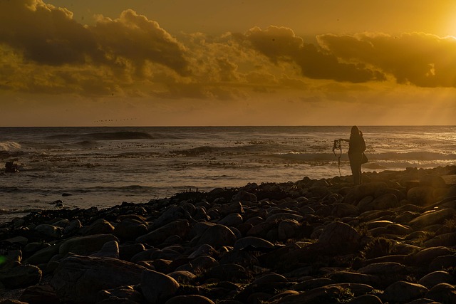 Free Sea Evening photo and picture