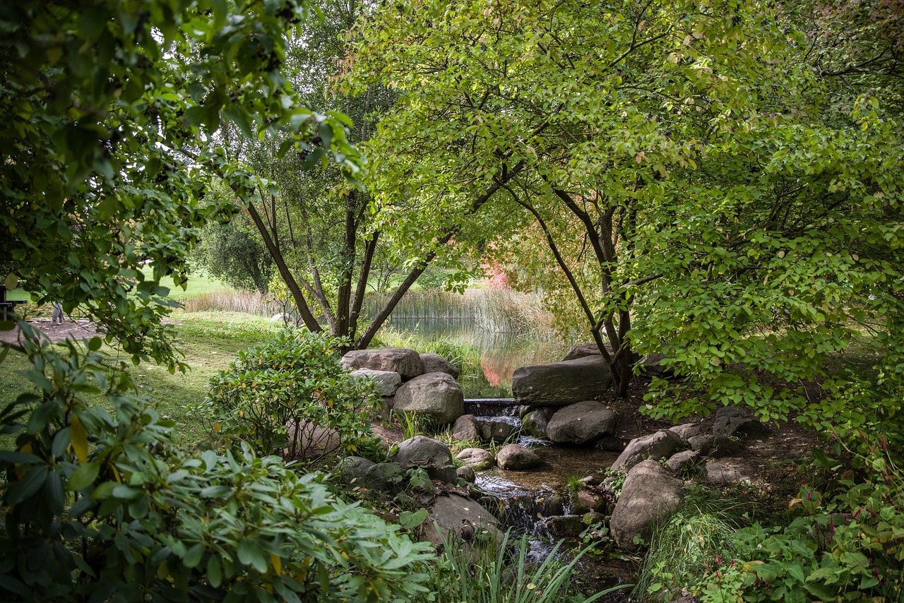 Stream Water Landscape - Free photo on Pixabay - Pixabay
