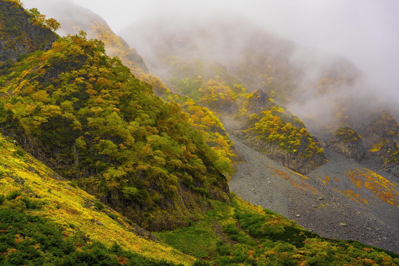 Landscape - free online jigsaw puzzle photo