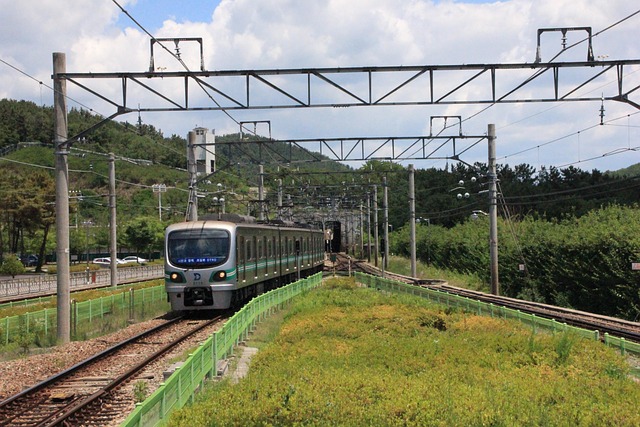 korea, railroad, electric, telegraph pole, wire, power line, train, electric vehicle, electric car, vehicle, public transportation, transport, traffic, subway, city rail, shipping, passenger, daegu, daegu, daegu, daegu, daegu, daegu
