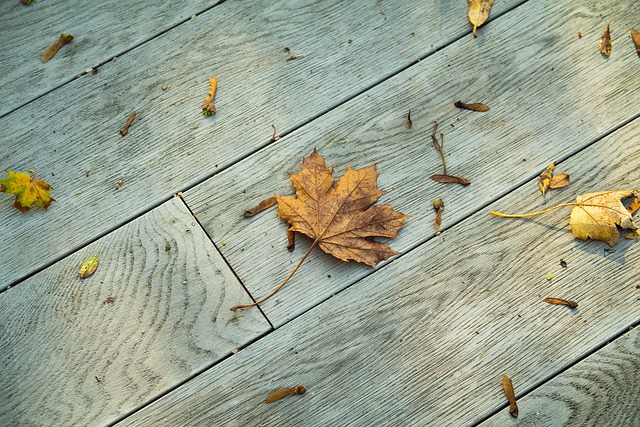 Herbst, Blätter, Blatt, Oktober, Natur
