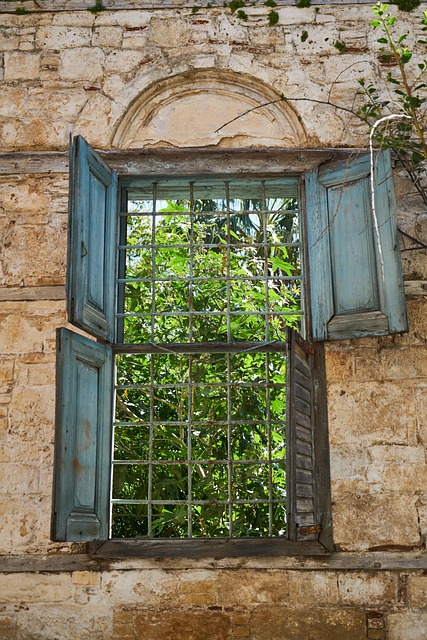 Free Window Nature photo and picture
