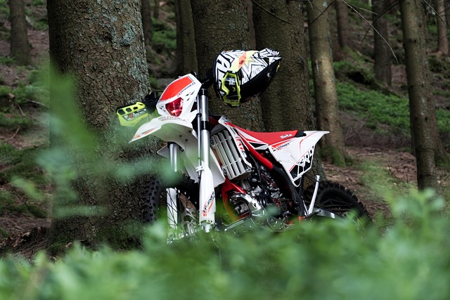 Free Motorcycle Motocross photo and picture