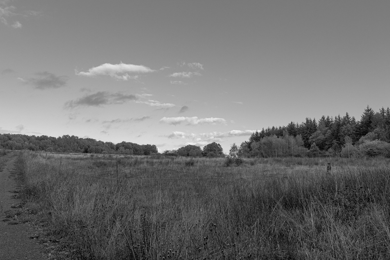100+ Free Grasslands Road & Road Images Pixabay