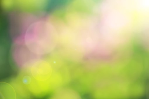 Natur, Naturlig, Sol, Solrig, Plante