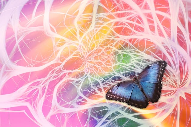 Free annoy network butterfly illustration