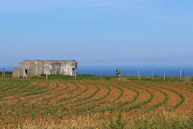 Free France Normandy photo and picture