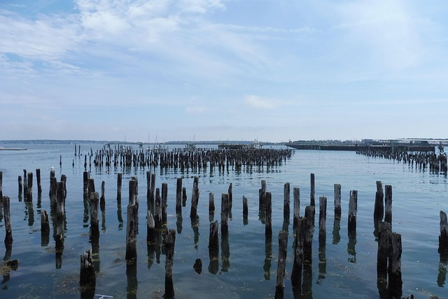 Apă, Ocean, Plajă, Uleiuri, Natura