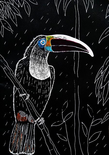 Free toucan birds animals illustration