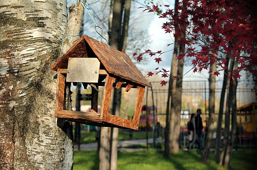 Free Feeder Nature photo and picture