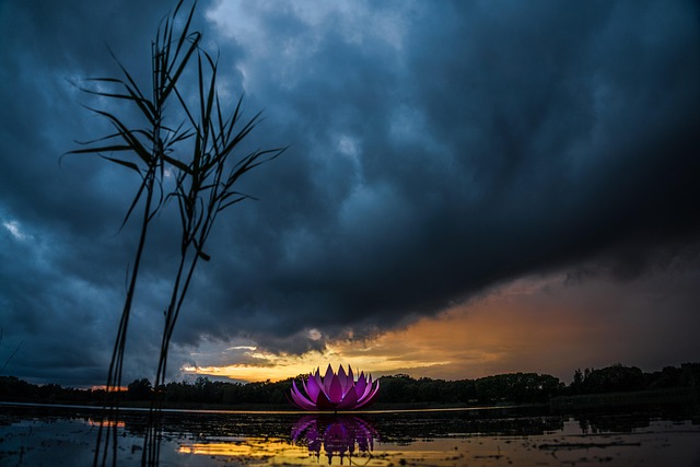Natuur, Landschap, Wolken, Woud