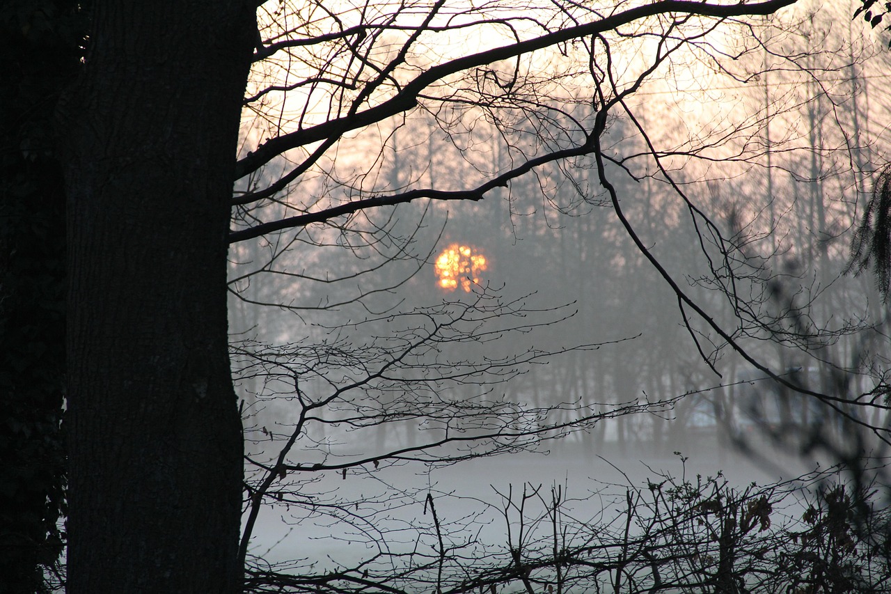 超过 10 张关于“Sonnenaufgang Farbig”和“Sonnenaufgang”的免费图片 - Pixabay