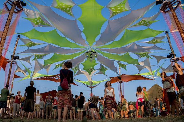 Festival, Hippie, Goa, Vrijheid, Zomer