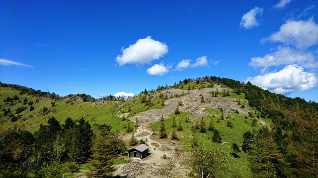 Free Mountain Mt photo and picture
