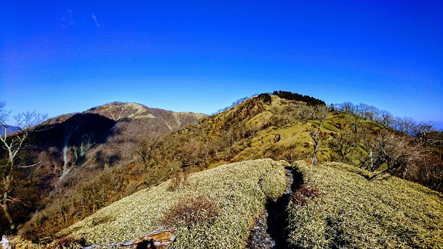Free Mountain Mt photo and picture