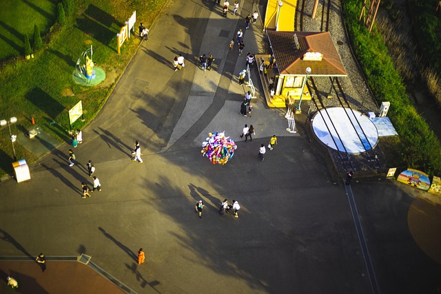 Free Amusement Park Ferris Wheel photo and picture