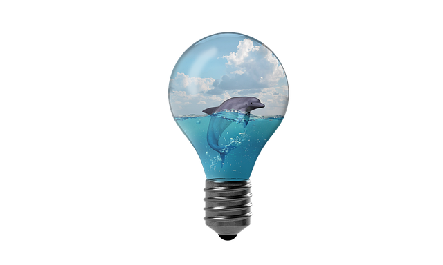 Free dolphin water environment illustration