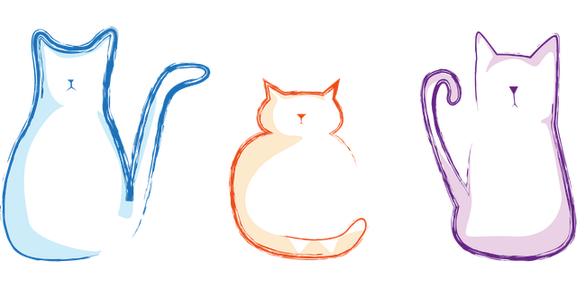 Free cat little cat tender vector