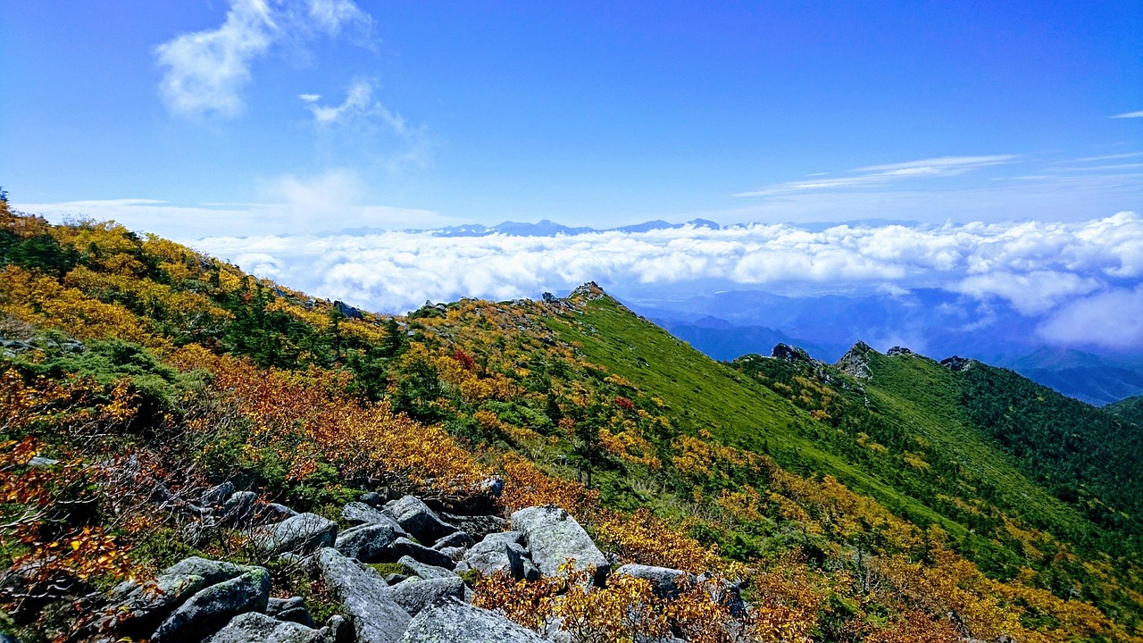 Autumn Leaves - free online jigsaw puzzle photo