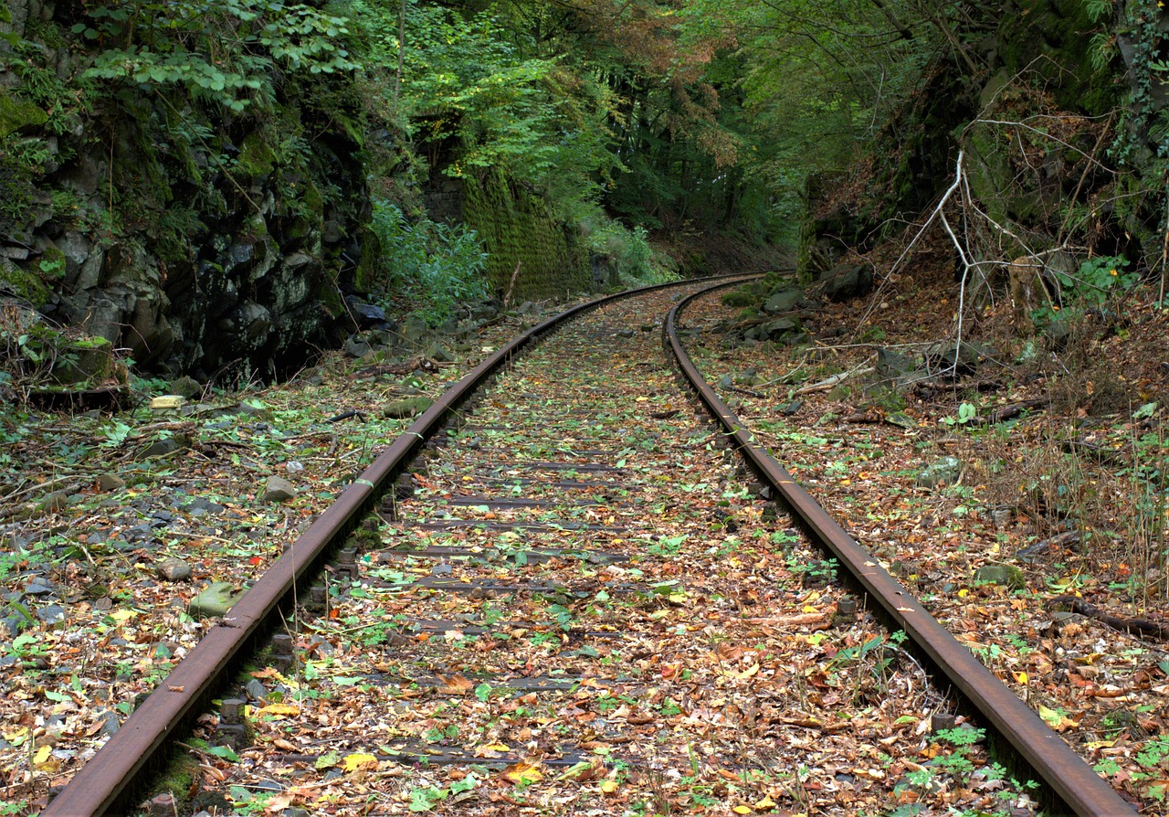 Kereta Api Melalui Hutan Daun Foto Gratis Di Pixabay Pixabay