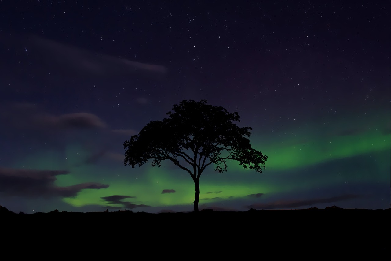 Sky Northern Lights Aurora - Free photo on Pixabay