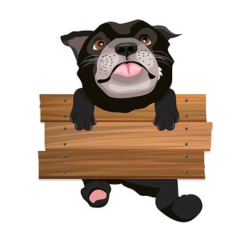 Hund, Kjæledyr, Natur, Bemanne, Dyr