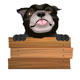 Bemanne, Hund, Natur, Kjæledyr, Dyr