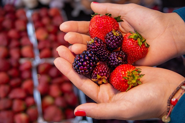 Free Blackberry Fruit photo and picture