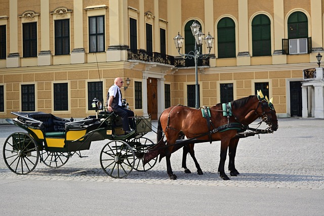 Sightseeing, vienna, schönbrunn castle and fiaker — photo by jggrz