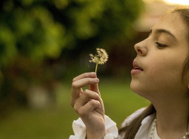 Free Little Girl Flower photo and picture
